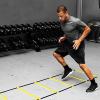 Agility Ladder Fixed Rope Ladder, Speed Ladder, Speed and Agility Training Set, Thickened Ladder, Cones Football Training Equipment(Size:5.1M) view 4