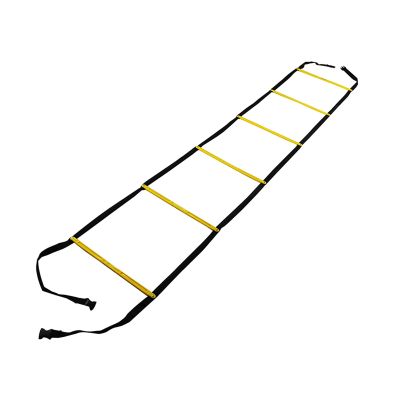 Agility Ladder Fixed Agility Ladder, Portable Speed Ladder Training Ladder, Cones Football Training Equipment, for Kids Adults Training, with Carry Case(Size:4.2M)