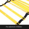 Agility Ladder 6M Agility Ladder, Adjustable Speed Training Ladder,Flexibility Football Sports Speed Ladder, for Rugby, Boxing, Lacrosse view 2