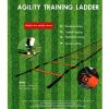 Agility Ladder Fixed Agility Ladder Speed Ladder,Cones Football Training Equipment,to Boost Fitness Increase Skills, with Carry Bag Disc Cones(Size:6m) view 2