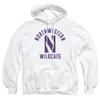 Northwestern University Official One Color Wildcats Logo Unisex Adult Pull-Over Hoodie,White, Medium view 1