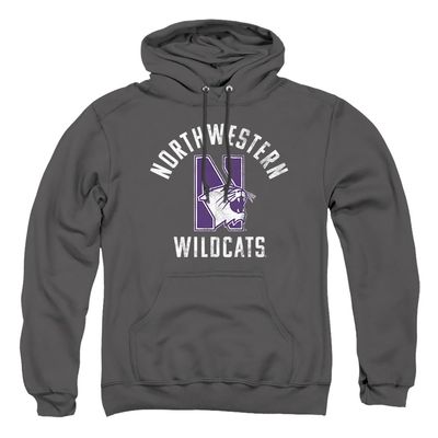 Northwestern University Official Wildcats Logo Unisex Adult Pull-Over Hoodie,Charcoal, Small