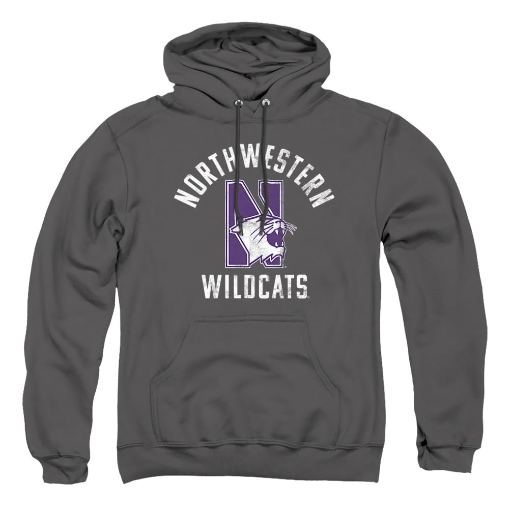 Northwestern University Official Wildcats Logo Unisex Adult Pull-Over Hoodie,Charcoal, Small