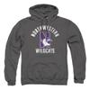 Northwestern University Official Wildcats Logo Unisex Adult Pull-Over Hoodie,Charcoal, Small view 1