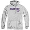 Northwestern University Official Block Text Unisex Adult Pull-Over Hoodie,Athletic Heather, 2X-Large view 1