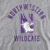 Northwestern University Official Wildcats Logo Unisex Adult Pull-Over Hoodie,Athletic Heather, Small view 2