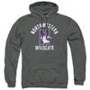 Northwestern University Official Wildcats Logo Unisex Adult Pull-Over Hoodie,Charcoal, X-Large view 2