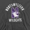 Northwestern University Official Wildcats Logo Unisex Adult Pull-Over Hoodie,Charcoal, X-Large view 3