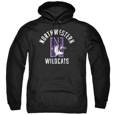 Northwestern University Official Wildcats Logo Unisex Adult Pull-Over Hoodie,Black, 3X-Large