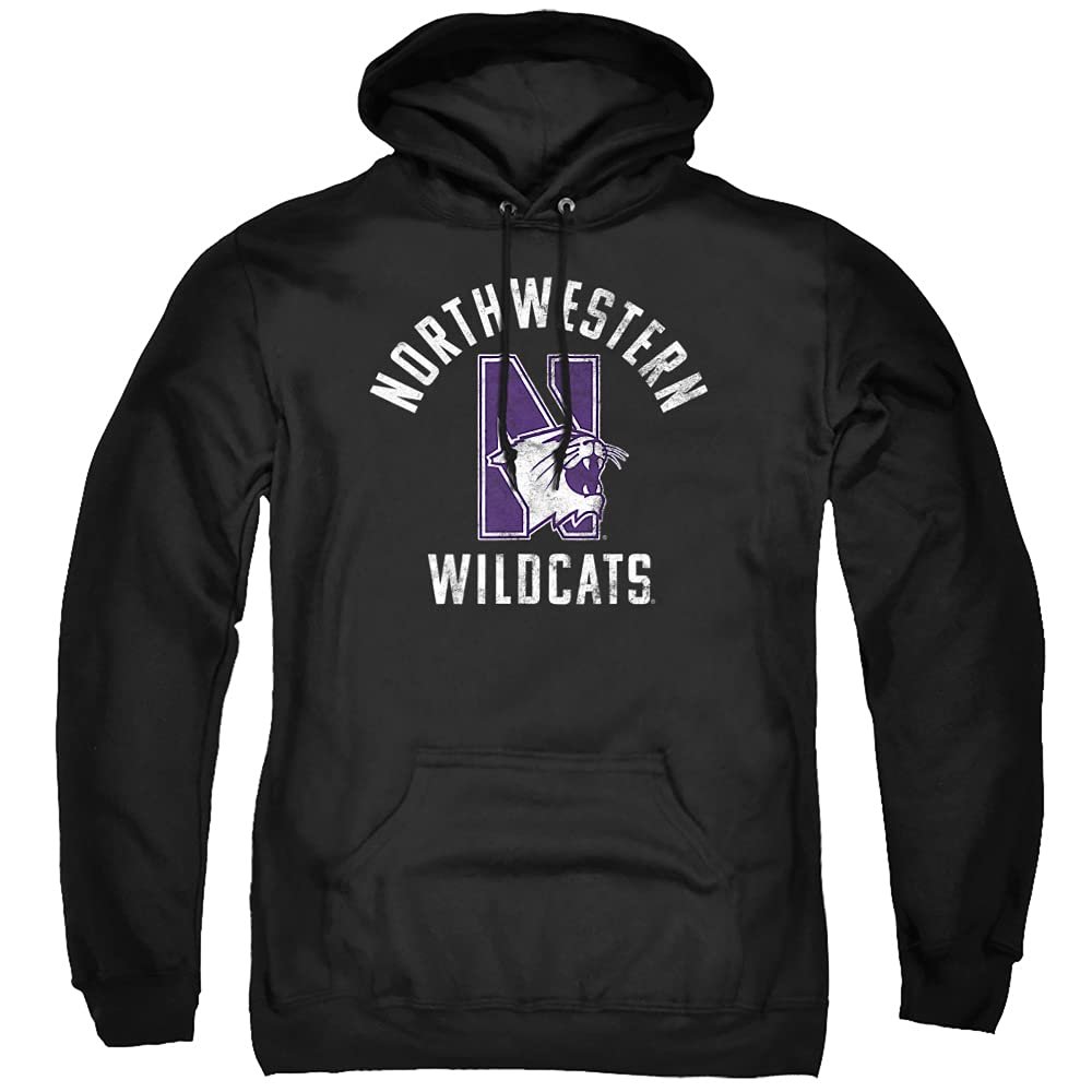 Northwestern University Official Wildcats Logo Unisex Adult Pull-Over Hoodie,Black, 3X-Large