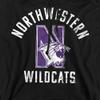 Northwestern University Official Wildcats Logo Unisex Adult Pull-Over Hoodie,Black, 3X-Large view 2