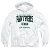 Plymouth State University Official Est. Date Unisex Adult Pull-Over Hoodie,White, Small view 1