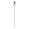 VOLKL Women's Phantastick Ski Poles 2023, Silver, 100 view 1