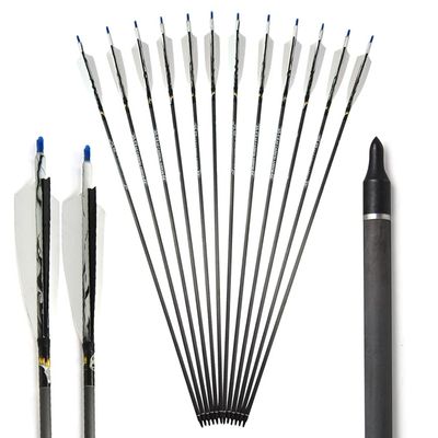 ZSHJGJR 30 Inch Archery Carbon Arrows ID 6.2mm Spine 500 Hunting Arrows with 100 Grain Replacement Arrow Points Tips for Recurve Compound Bow 6/12pcs (12)