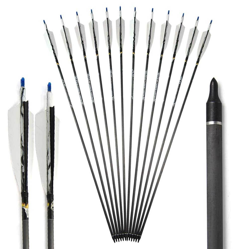 ZSHJGJR 30 Inch Archery Carbon Arrows ID 6.2mm Spine 500 Hunting Arrows with 100 Grain Replacement Arrow Points Tips for Recurve Compound Bow 6/12pcs (12)