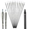 ZSHJGJR 30 Inch Archery Carbon Arrows ID 6.2mm Spine 500 Hunting Arrows with 100 Grain Replacement Arrow Points Tips for Recurve Compound Bow 6/12pcs (12) view 1