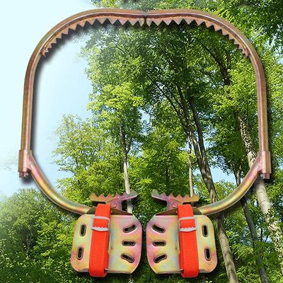 ZWJABYY Tree Climbing Spikes,Pole Climbing Gear,Tree Climbing Spikes for Tree Work Kit,for Hunting Observation,Picking Fruit,Coconut,Simple to Use,model300