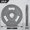 Balelinko Cast Iron 2-Inch Olympic Grip Plate Weight Plate for Strength Training, Weightlifting and Crossfit in Pair, 25LB, Gray view 2