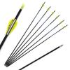 Spine 350 Arrow 30 Inch Arrow Target Practice Arrow Hunting Arrow Carbon Arrows Compound Bow Recurve Bow Adult Youth Archery Indoor Outdoor Shooting Bullet Tip 12pc view 1