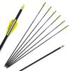 Spine 350 Arrow 24 Inch Arrow Target Practice Arrow Hunting Arrow Carbon Arrows Compound Bow Recurve Bow Adult Youth Archery Indoor Outdoor Shooting Bullet Tip 12pc view 1