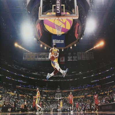CINEMAFLIX Lebron James Dunk - Sports/Basketball Poster - Measures 16 x 24 inches