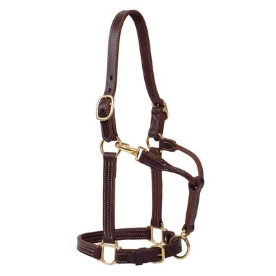 Weaver Leather 1" Track Halter, Canyon Rose, Average