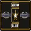 212 Main LPO6971 6 x 12 in. U.S. Army Veteran Combat Infantry Photo License Plate view 1
