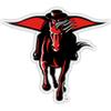 Texas Tech Red Raiders 12-Inch Vinyl Decal Sticker 4-Pack Officially Licensed Collegiate Product view 1