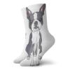 GULTMEE Funny Compression Socks Women and Men,Naive Puppy Tiny Dog Breed Standing By The I Love My Dog Message,Best for Circulation,Running,Athletic,Nurse,Travel, -12 inch view 1