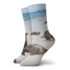 GULTMEE Funky Colorful Cushion Sport Socks,Galapagos Island Sea Lions At Sandy Beach Seascape Nature Photo Animal Travel,Athletic Cushioned Running Performance Crew Socks For Men/Women, -12 inch view 1