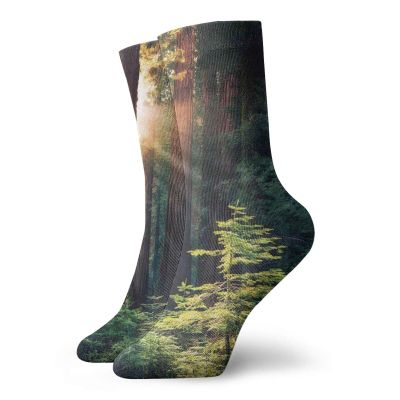 GULTMEE Funky Colorful Cushion Sport Socks,Morning Sunlight In Wilderness Yosemite Sierra Nevada United States Nature,Athletic Cushioned Running Performance Crew Socks For Men/Women, -12 inch