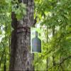 50 Pack Assortment of Shooting Targets Zip Targets view 3
