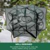 6/12 Holes Minnow Traps for Bait Fish, Fishing Net Trap with Collapsible Cast Net, Crawfish Trap Bait for Catching Small Bait Fish Eels Crab Lobster Minnows Shrimp(12 Holes) view 4