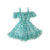 LZCYILANXIULSL Toddler Girl Summer Clothes Baby Ruffles Halter Dresses Boho Dress Beach Sundress Playwear Outfit (4-5T,Daisy Green) view 1