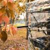 Tangkula 3 Person Pop up Ground Blind, Portable Hunting Blind with Mesh Windows, Carrying Bag & Ground Stakes, Camouflage Hunting Tent with Hub System, Camo Deer Blinds for Hunting view 3
