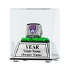 TrophySmack Fantasy Football Personalized Jewel Case, Championship Ring Custom Display Case with Included Engraving - Astroturf view 1