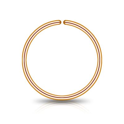 12mm 14k Rose Gold Filled Nose Ring Hoop for Women Men, 20g Gold Conch Hoop Earring, Cocnh Piercing Jewelry, Thin Nose Piercing jewelry, Dainty Septum Rings, 12 mm 20 gauge