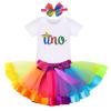 Cinco de Mayo 1st Birthday Outfits Baby Girls Mexican Fiesta First Birthday Party Sombrero Romper Rainbow Tutu Skirt Headband Toddler Im One First Taco Bout One Photo Shoot 1 Year view 1