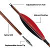 OBTOUTDOOR Archery Pure Carbon Arrows 30 inch Spine 500 with Removable Tips Practice Hunting Arrows for Compound Recurve Bow view 2