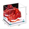 Better Display Cases Acrylic Shoe Pair Display Case - Large Rectangle Box with Mirror Case, White Base and Light Blue Risers 15.25" x 12" x 9" (V13/A082) view 2