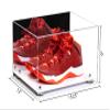 Better Display Cases Acrylic Shoe Pair Display Case - Large Rectangle Box with Mirror Case, White Base and Silver Risers 15.25" x 12" x 9" (V13/A082) view 2