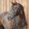 HORZE Somerset Fancy Show Bridle - Black - Cob view 4