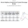 HORZE Highbury Anatomical Crystal Dressage Bridle - Black - Horse view 2