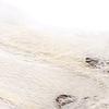 Lawaia Throw Nets for Fishing Bait White Nylon Thread Iron Steel Sinking Hand Throwing Fishing Net Old Traditional Landing Net Fish Small Mesh,Radius 2.5m (Multifilament - 2.5m) view 4