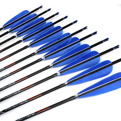 Spine 900 Arrow 29 Inch Arrow Target Practice Arrow Hunting Arrow Carbon Arrows Compound Bow Recurve Bow Adult Youth Archery Indoor Outdoor Shooting Bullet Tip 12pc