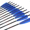 Spine 900 Arrow 29 Inch Arrow Target Practice Arrow Hunting Arrow Carbon Arrows Compound Bow Recurve Bow Adult Youth Archery Indoor Outdoor Shooting Bullet Tip 12pc view 1