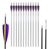 Spine 900 Arrow 26 Inch Arrow Target Practice Arrow Hunting Arrow Carbon Arrows Compound Bow Recurve Bow Adult Youth Archery Indoor Outdoor Shooting Bullet Tip 12pc view 1