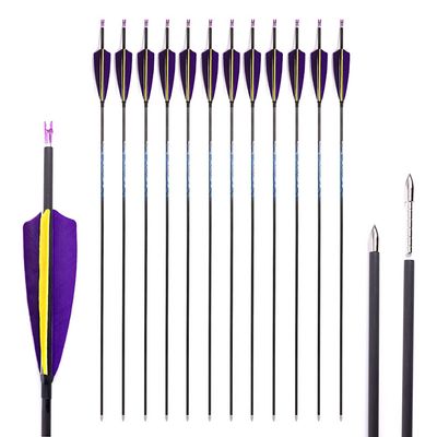 Spine 900 Arrow 22.5 Inch Arrow Target Practice Arrow Hunting Arrow Carbon Arrows Compound Bow Recurve Bow Adult Youth Archery Indoor Outdoor Shooting Bullet Tip 12pc