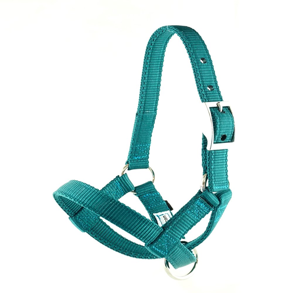Halter-All Goat Halter, S M L, XL, XL Buck, Made in USA, 23 Colors, Figure 8, Small, Medium, Large, Extra Large, Sheep Buck doe Kid Livestock (Teal, X Large Buck)