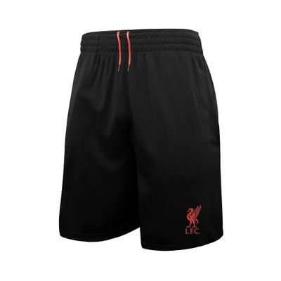 Icon Sports Men's Liverpool Officially Poly Soccer Shorts -05 Large Blue